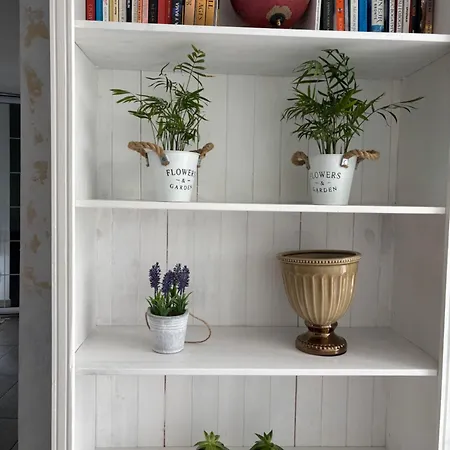 Santorini-novi Sad Rakovac